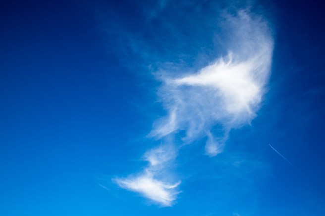 Cirrus clouds fox.jpg