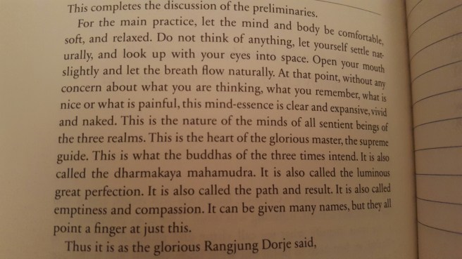 wp-1454539806160 image