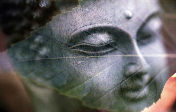 buddha leaf