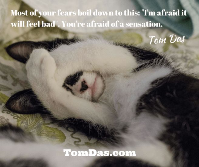 afraid-of-a-sensation