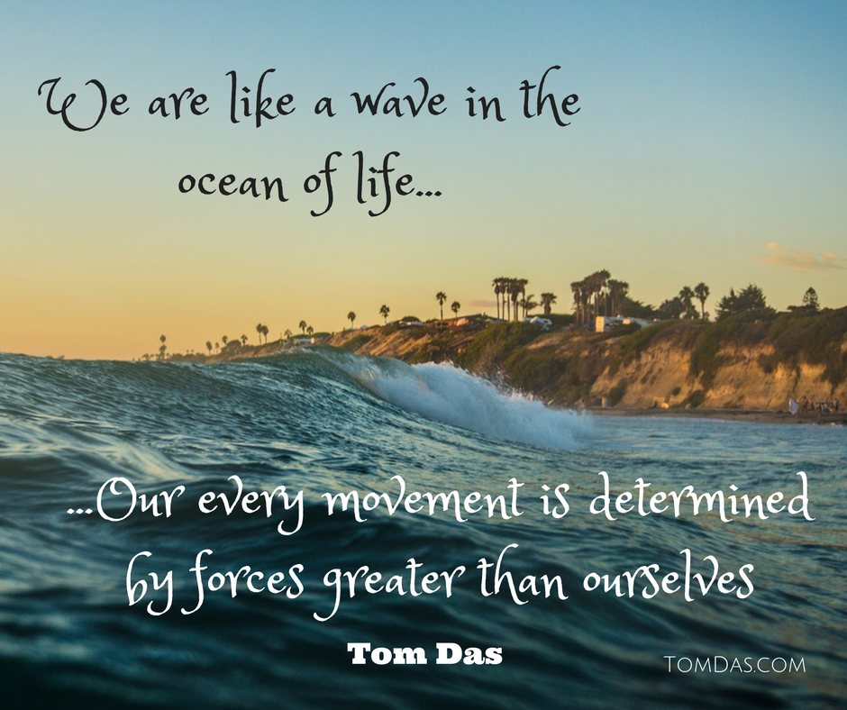 we-are-like-a-wave-in-the-ocean-of-life