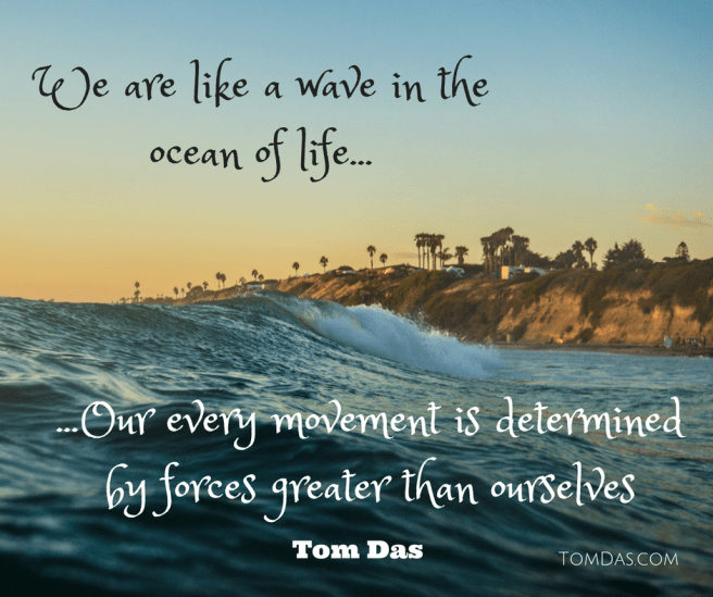 we-are-like-a-wave-in-the-ocean-of-life