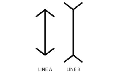optical illusion lines