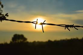 sun barbed wire