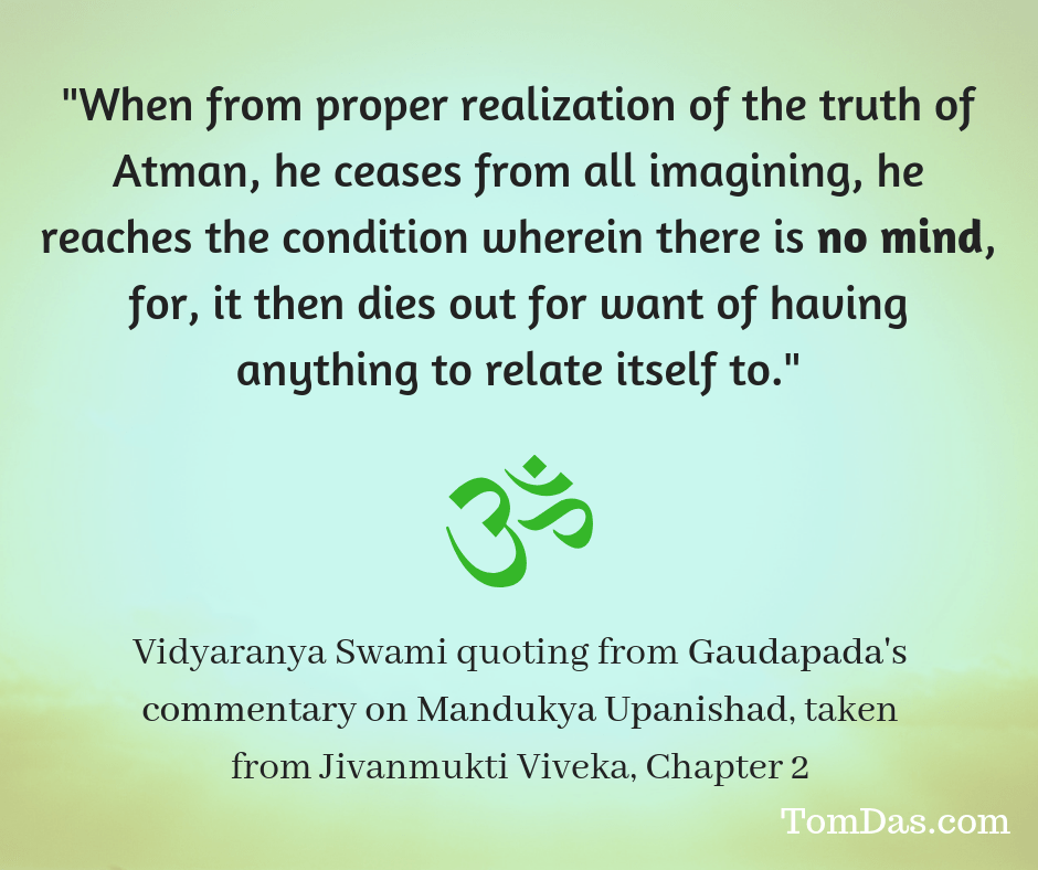 Vidyaranya no mind.png