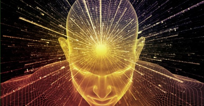 consciousness brain.jpg