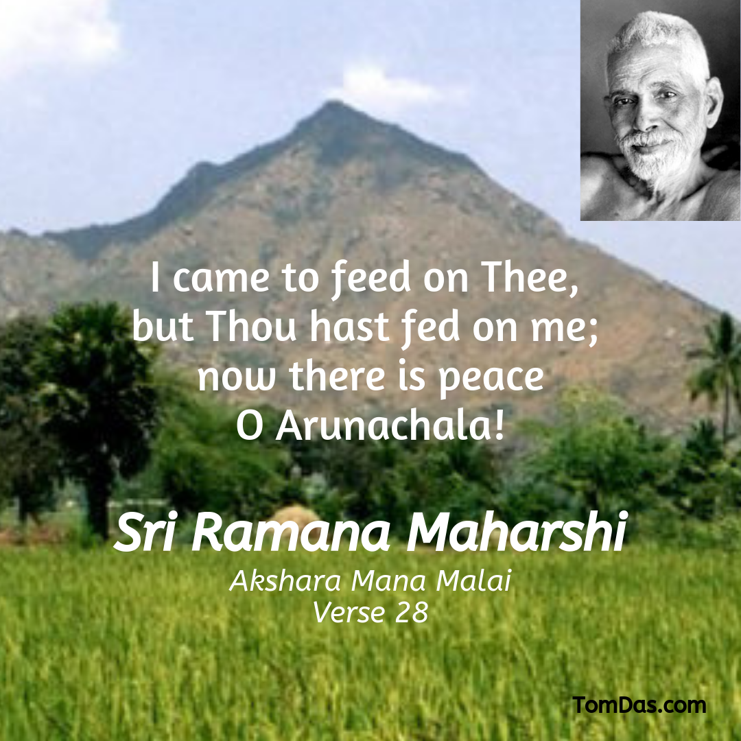 Ramana Thou hast fed on me