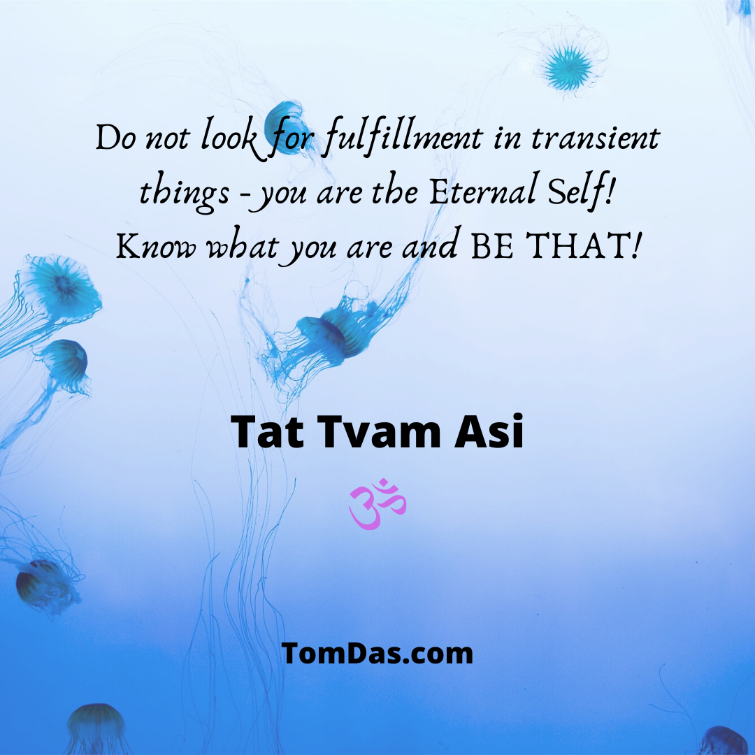 Do not look for fulfillment in transient things