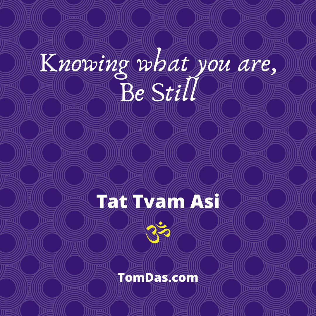Knowing what you are Be Still