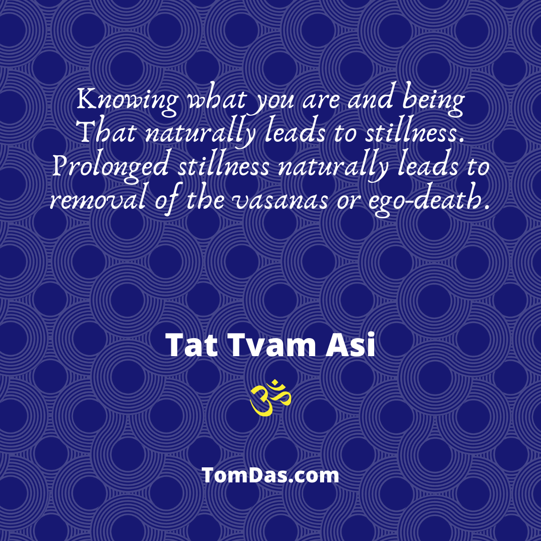 Prolonged stillness leads naturally to removal of the vasanas or ego-death.png