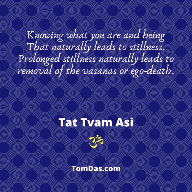 Prolonged stillness leads naturally to removal of the vasanas or ego-death.png