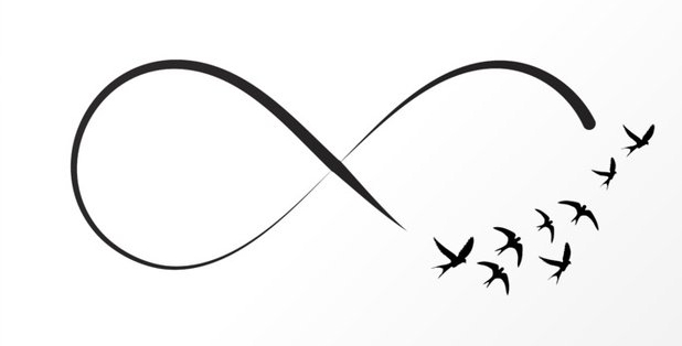 infinity birds swallows
